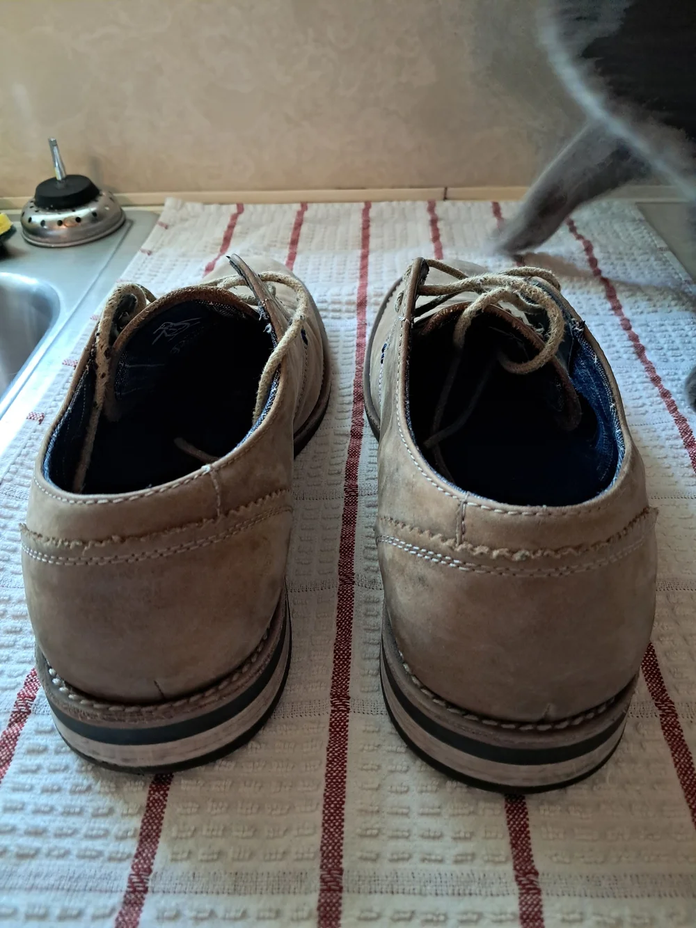 Original Penguin Wade Mens Oxford Shoes Size 10 Brown Suede Derby OP100139